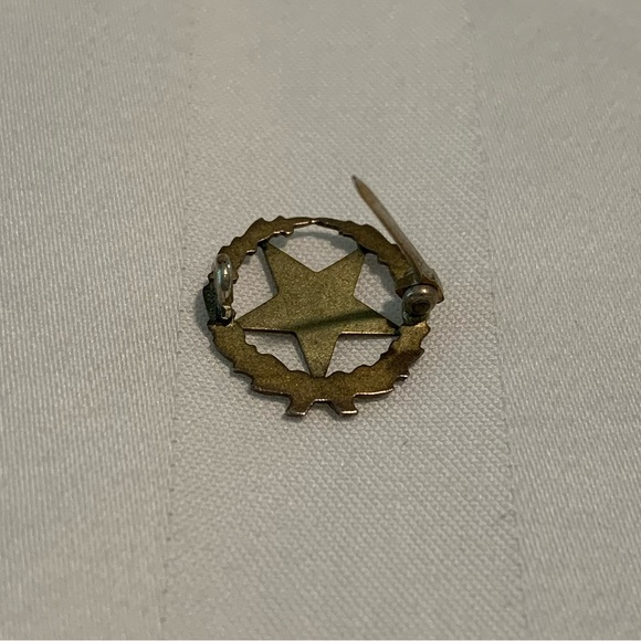 Vintage Masonic Order Of The Eastern Star Pin - Picture 7 of 8